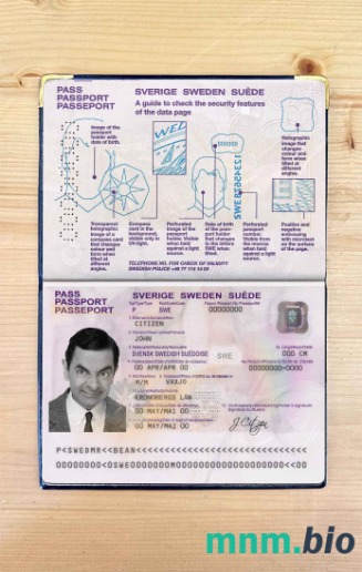 Szwecja zdjęcie do paszportu pliki PSD, skan i fotografowany obraz